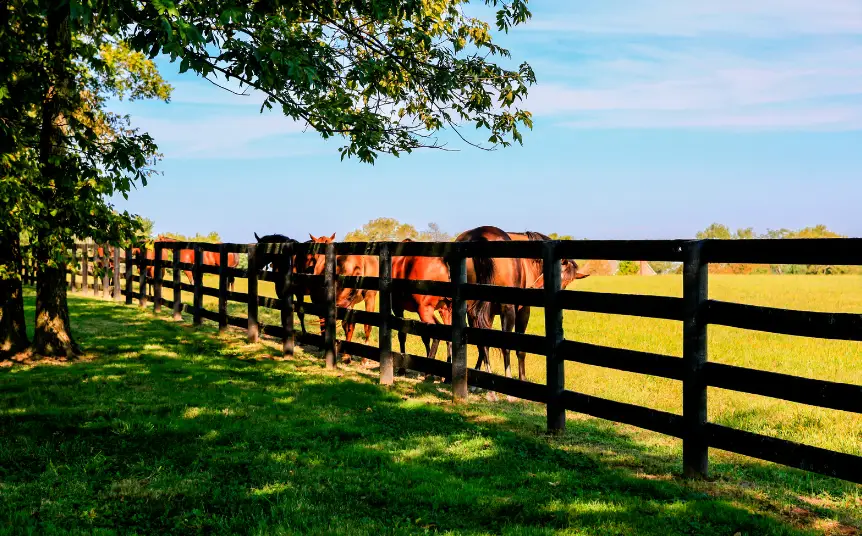 farm fence ocala fl