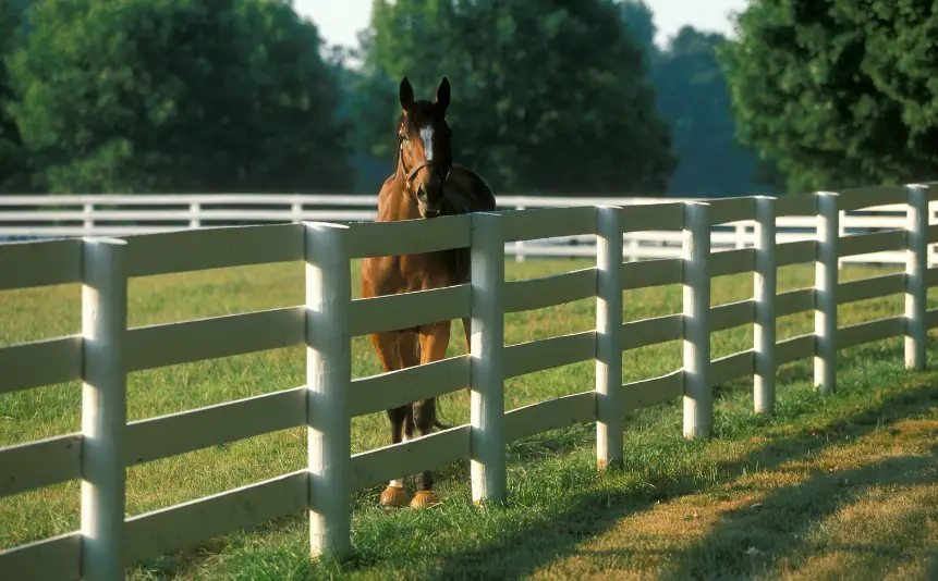 farm fencing ocala