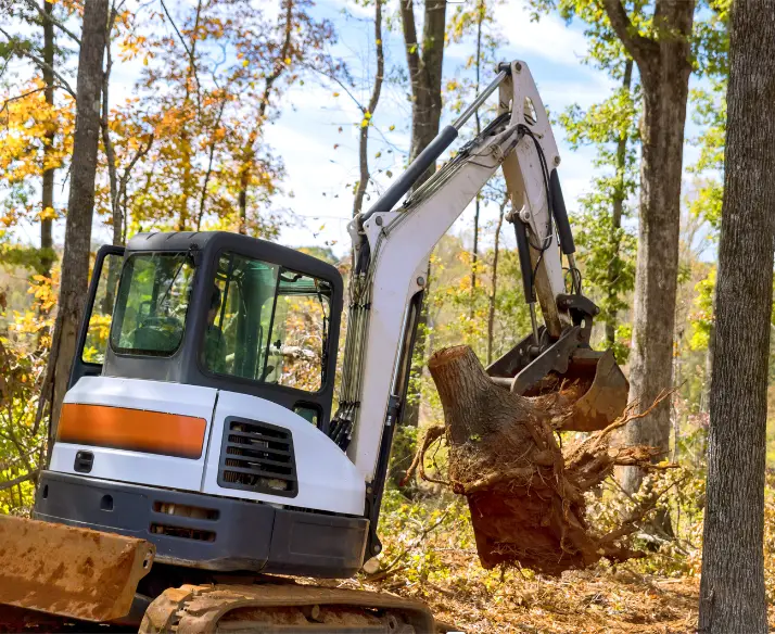 Ocala Land Clearing