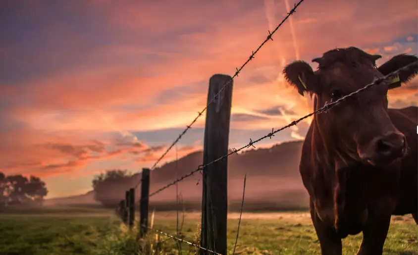 farm fencing ocala