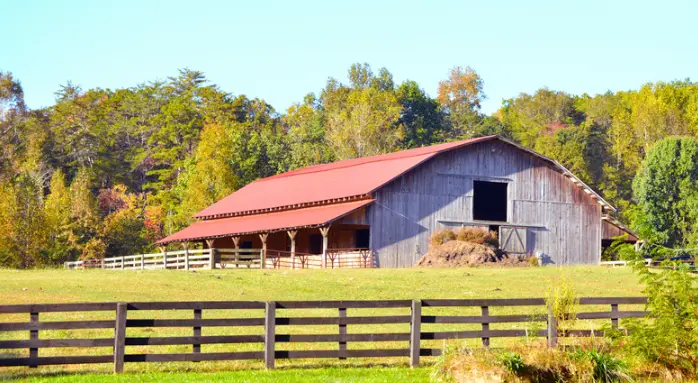 Farm Fencing Ocala, Fl